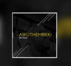 Mr Style - Awuthembeki